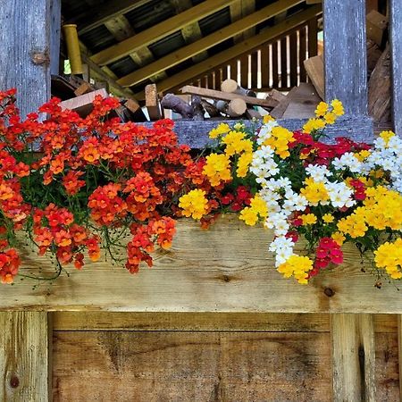 ホテル La Gerla Casa Vacanze Dolomiti Perarolo di Cadore エクステリア 写真