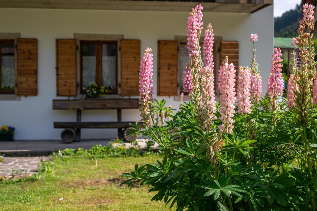 ホテル La Gerla Casa Vacanze Dolomiti Perarolo di Cadore エクステリア 写真