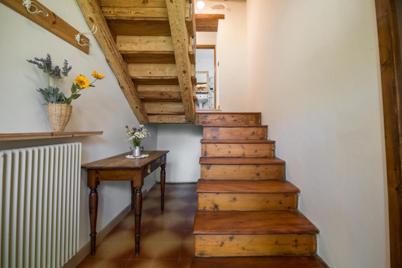 La Gerla Casa Vacanze Dolomiti Perarolo di Cadore エクステリア 写真