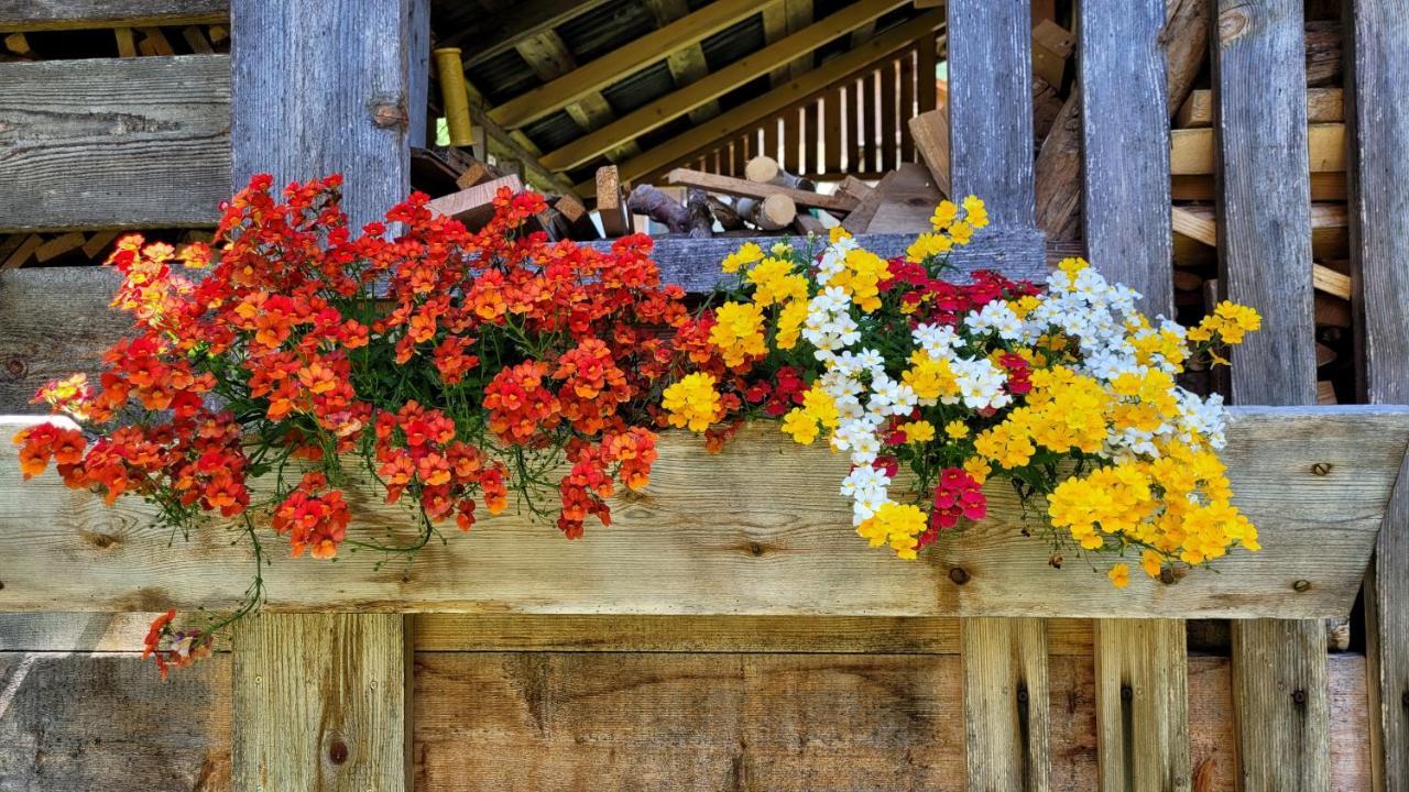 ホテル La Gerla Casa Vacanze Dolomiti Perarolo di Cadore エクステリア 写真